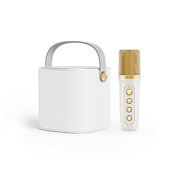Mini Σύστημα Karaoke με Ασύρματο Μικρόφωνο Bluetooth - TF - USB - AUX YS-101 Λευκό