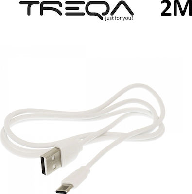Treqa USB 2.0 Cable USB-C male - USB-C male 2m  CA-2013 Λευκό