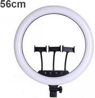 Ring Light 56cm 22” 3200K-6000K με Τρίποδο Δαπέδου 80cm-200cm  και Βάση για Κινητό CXB-480 Μαύρο