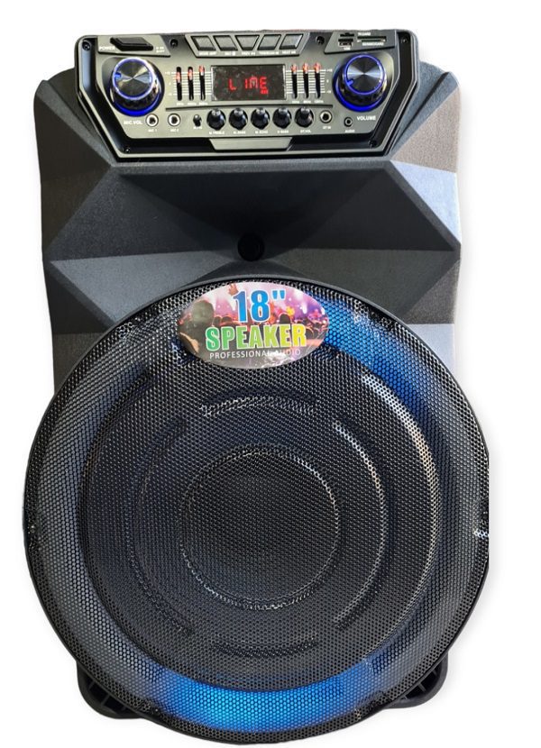 Meirende Karaoke φορητό ηχείο 18″ με 2 ασύρματα μικρόφωνα MR-1810 Μαύρο