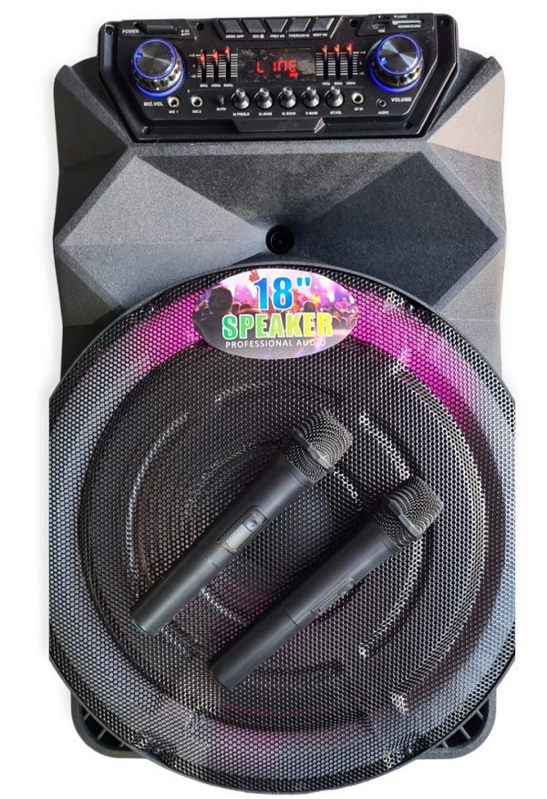 Meirende Karaoke φορητό ηχείο 18″ με 2 ασύρματα μικρόφωνα MR-1810 Μαύρο